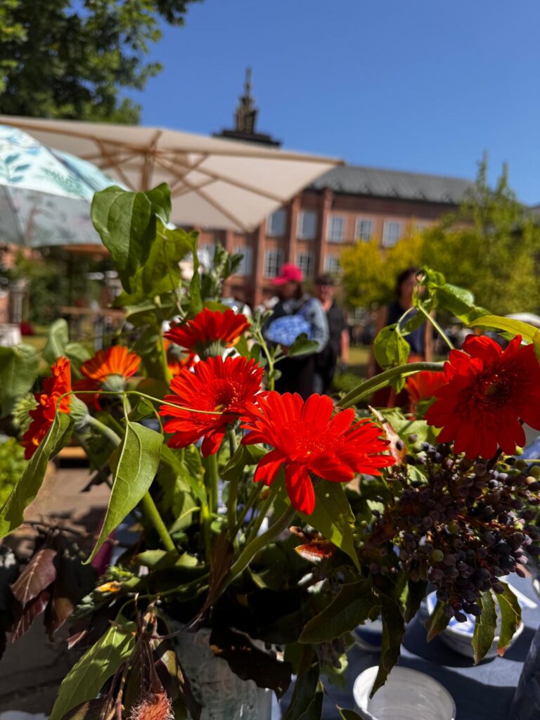 PHOTO-2026-02-16-11-45-53